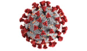 This illustration provided by the Centers for Disease Control and Prevention CDC shows the Novel Coronavirus. Photo credit: Alissa Eckert, MSMI, Dan Higgins, MAMS